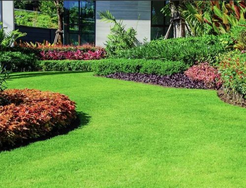 Find the Perfect Residential Landscapers: Horizon Lawn & Landscape