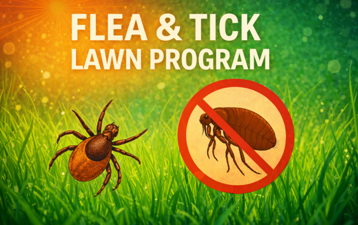 flea and tick