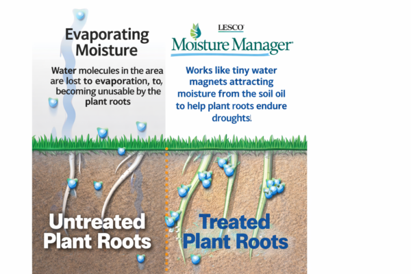 lawn moisture