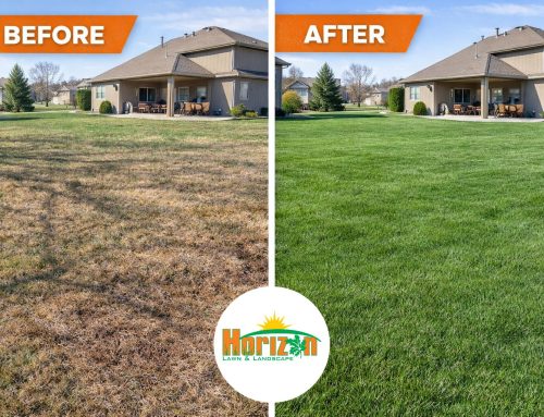 Why Lawns in Kansas City Look Brown and Patchy Right Now (Spring 2026 Lawn Update)
