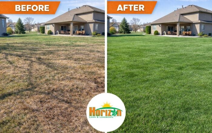 horizon lawn spring